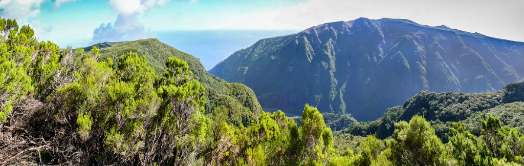 Panos Madeira-14 (11)